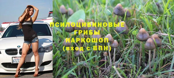 кокс Баксан