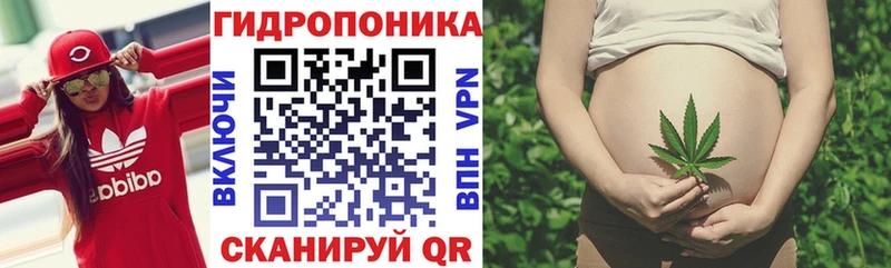 Канабис MAZAR  Фёдоровский 